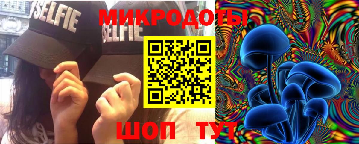 Галлюциногенные грибы Psilocybine cubensis Карпинск